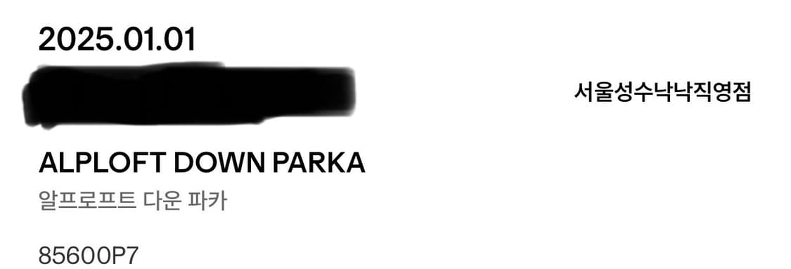 파타고니아 알프로프트 다운 XL 상품이미지9