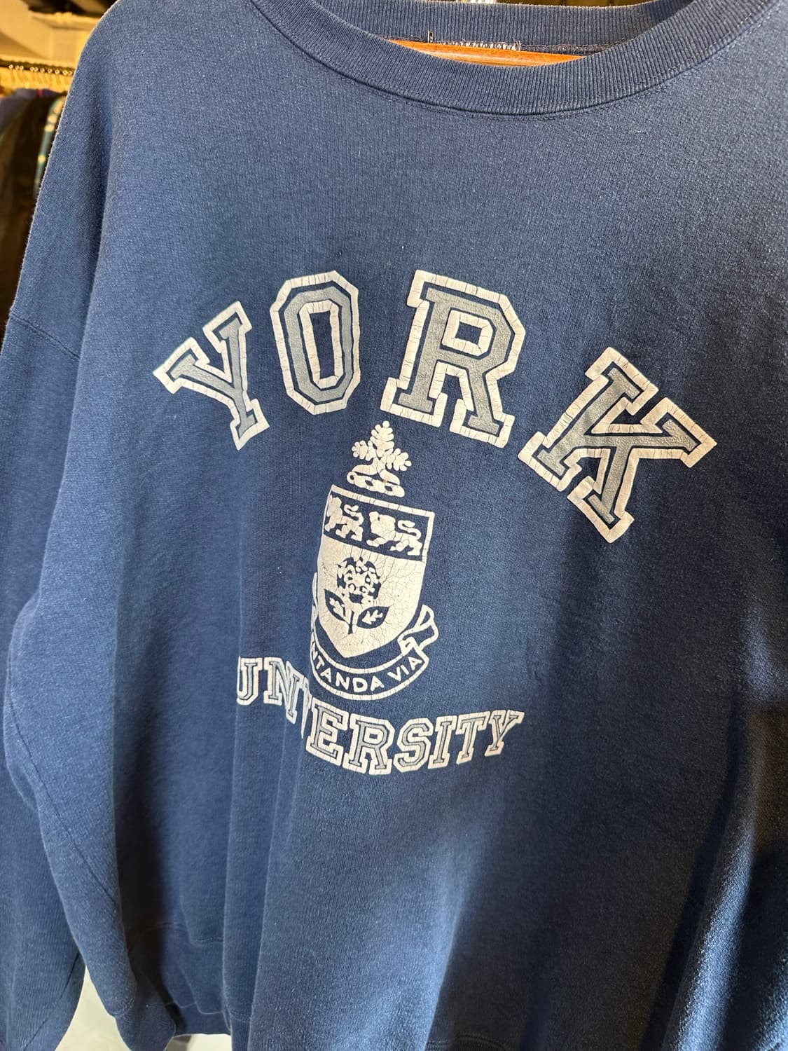 Unknown 요크대학교 York University 프린팅 맨투맨 상품이미지4