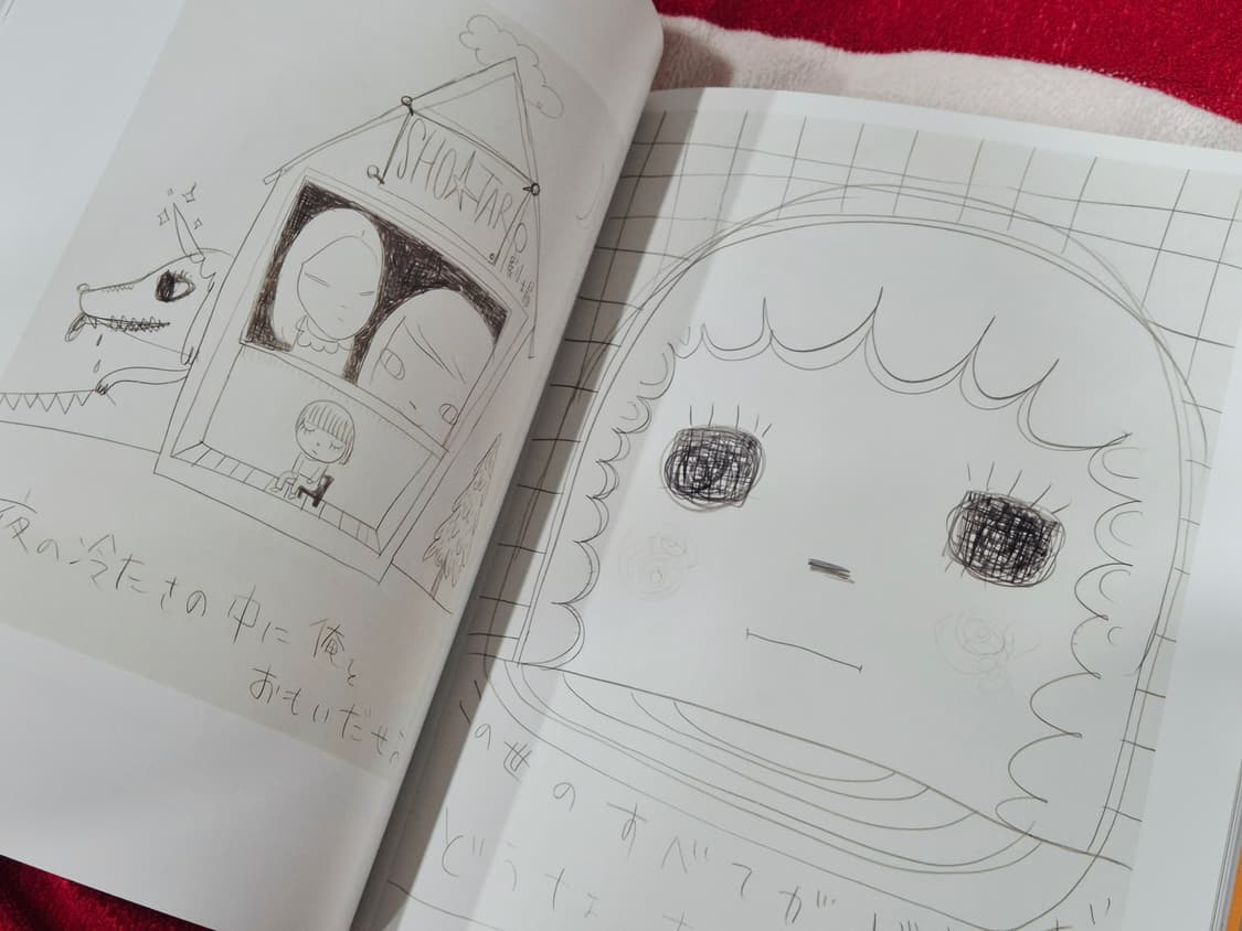 NARA YOSHIMOTO 나라 요시모토 아트북 상품이미지3