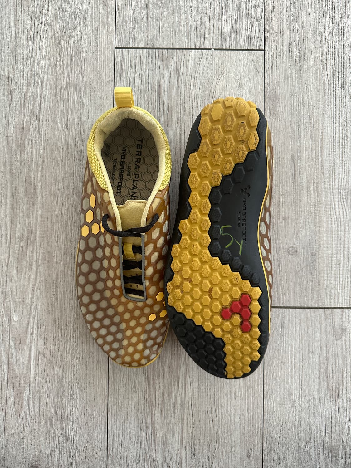 Vivobarefoot Evo II by Terra Plana 상품이미지2