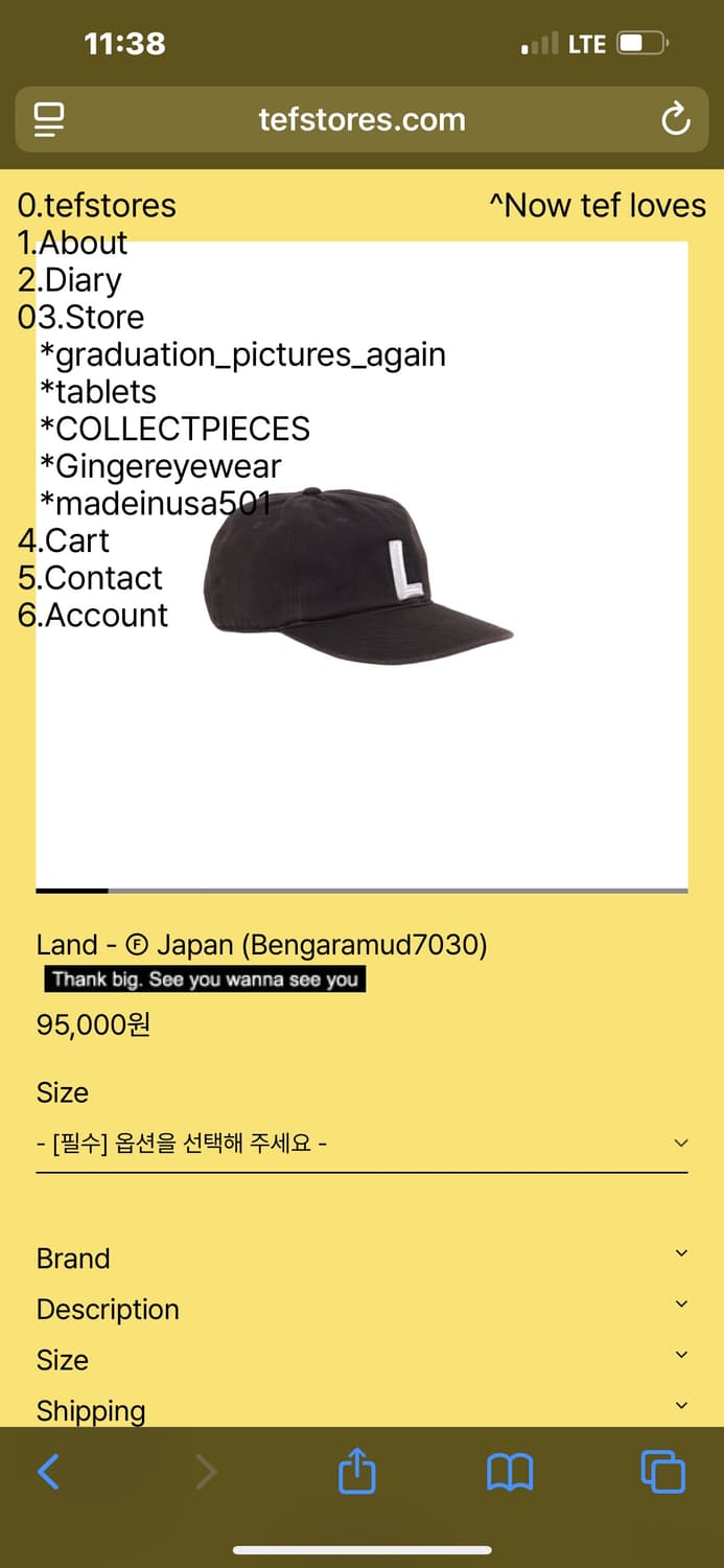 테프스토어즈 Land japan 상품이미지3