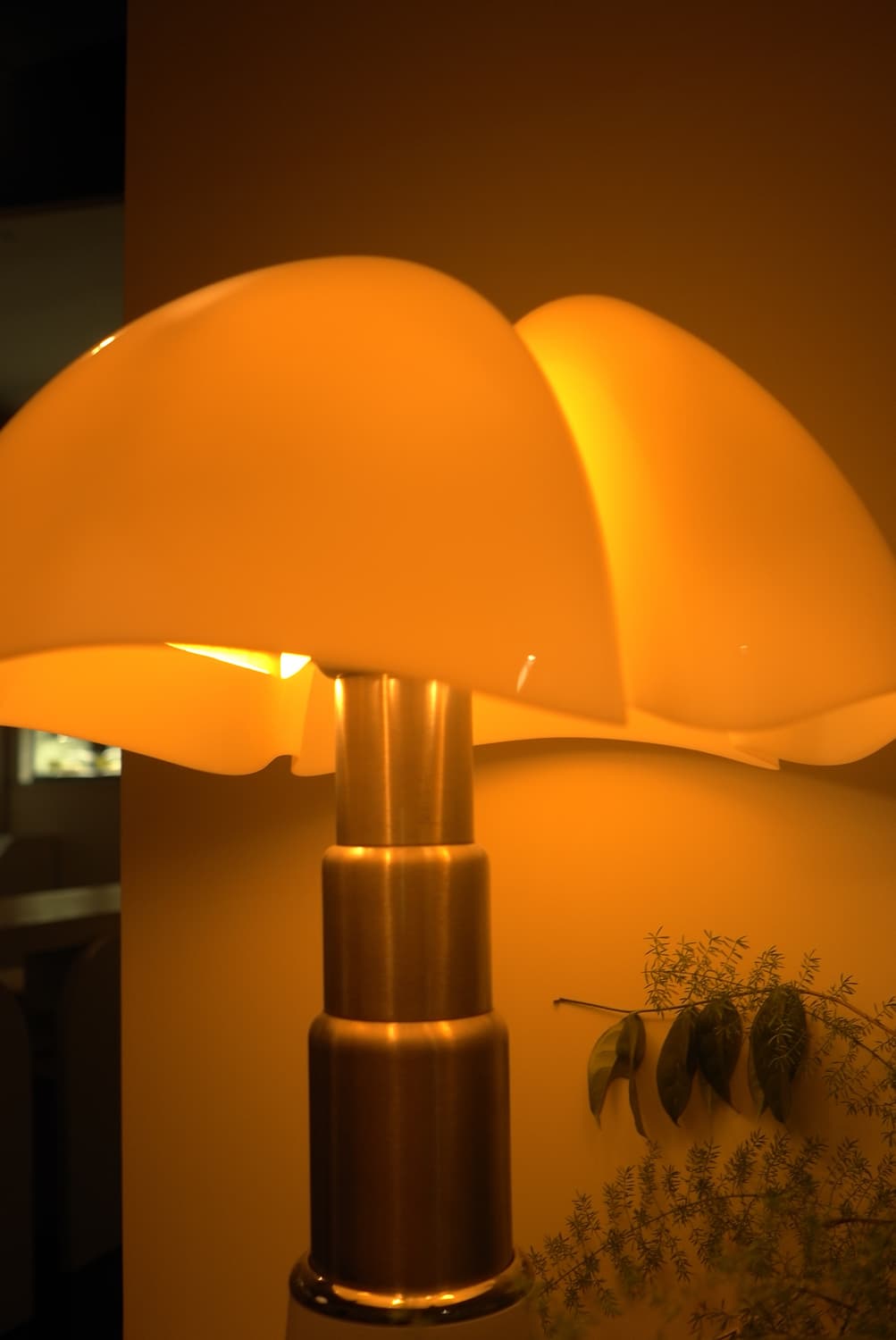 라이카&초희귀!) Leica x Panasonic FP1 디카 카메라 상품이미지5