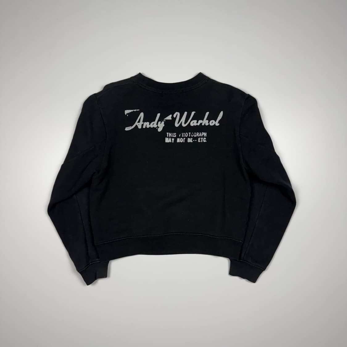 (95) 히스테릭글래머 앤디워홀 스웻셔츠 상품이미지2