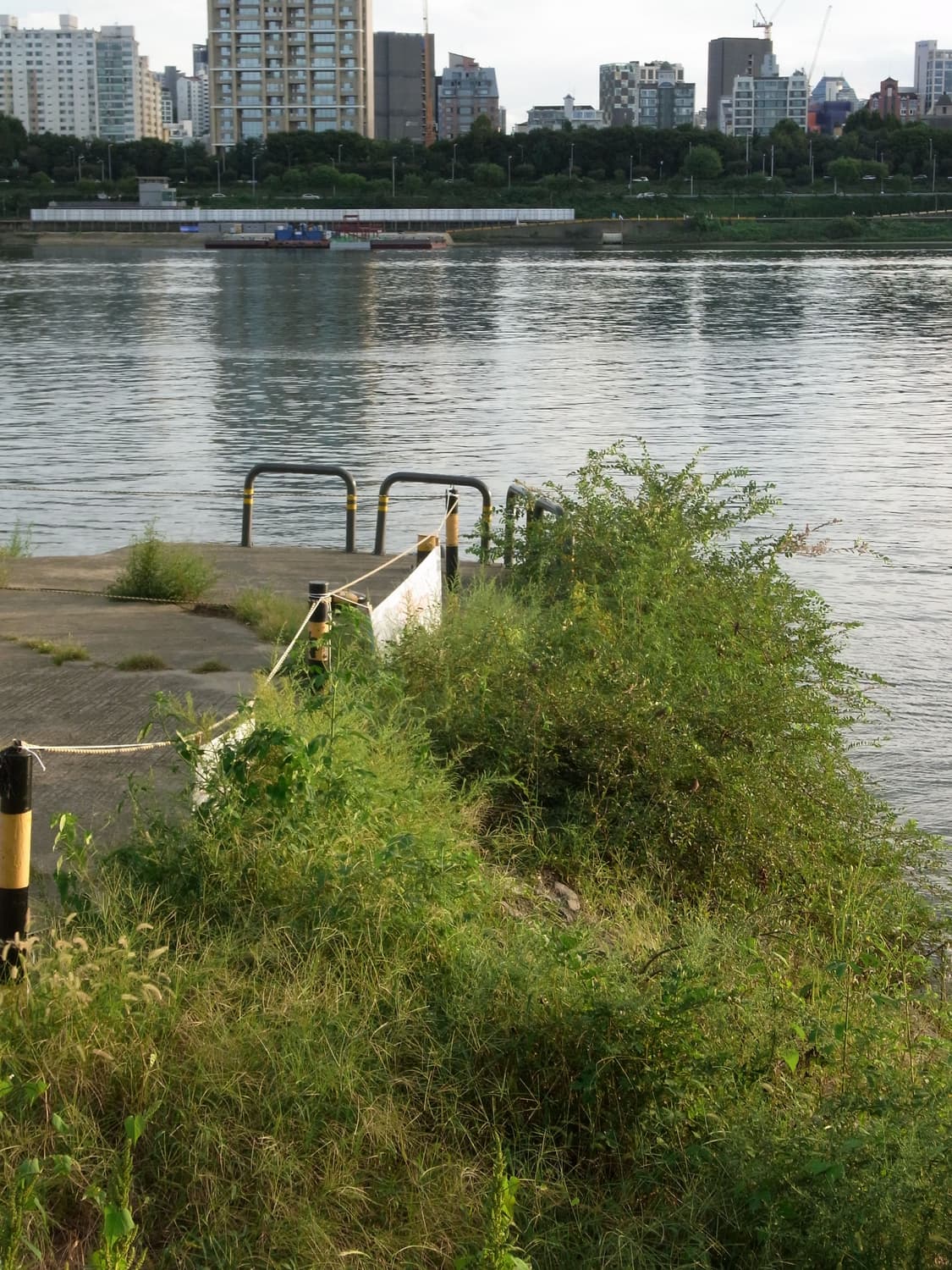 [강력추천]리코 RICOH CX4 빈티지디카 블랙컬러 상품이미지9