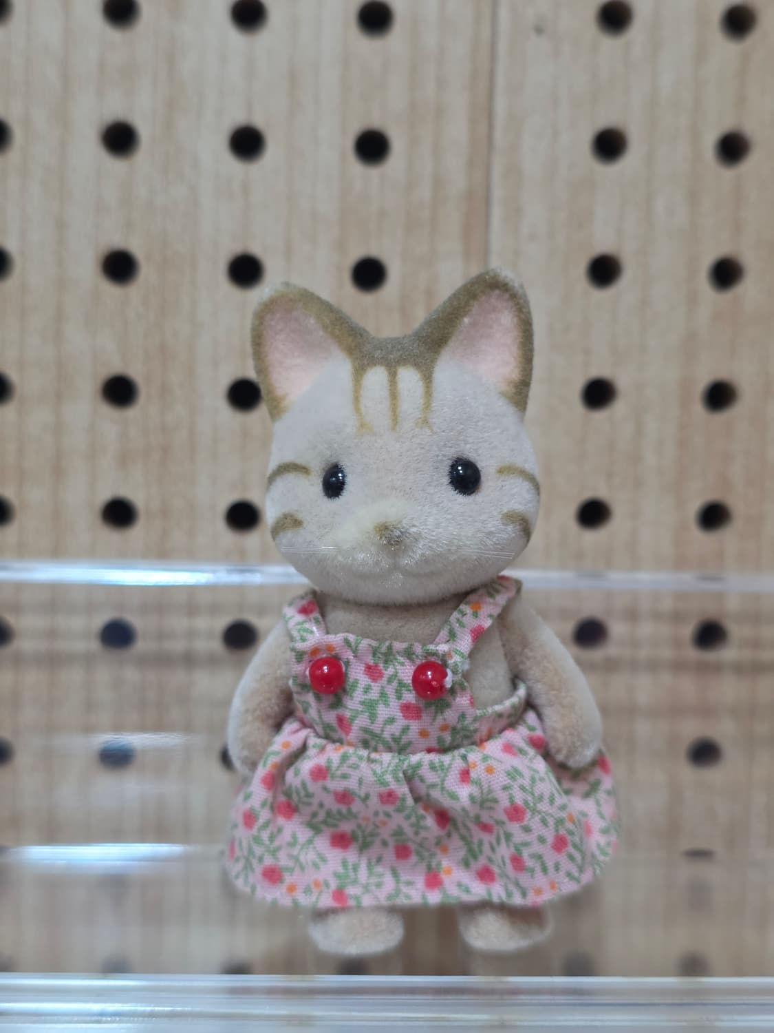 올드 실바니안 줄무늬 고양이 소녀 상품이미지1