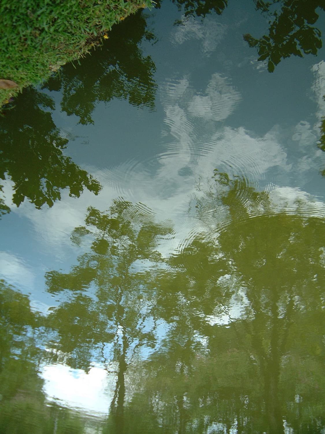 파인픽스 4700z 풀박스 상품이미지10