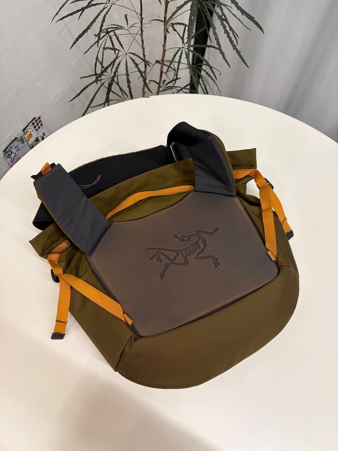 아크테릭스 미스트랄 16 상품이미지7