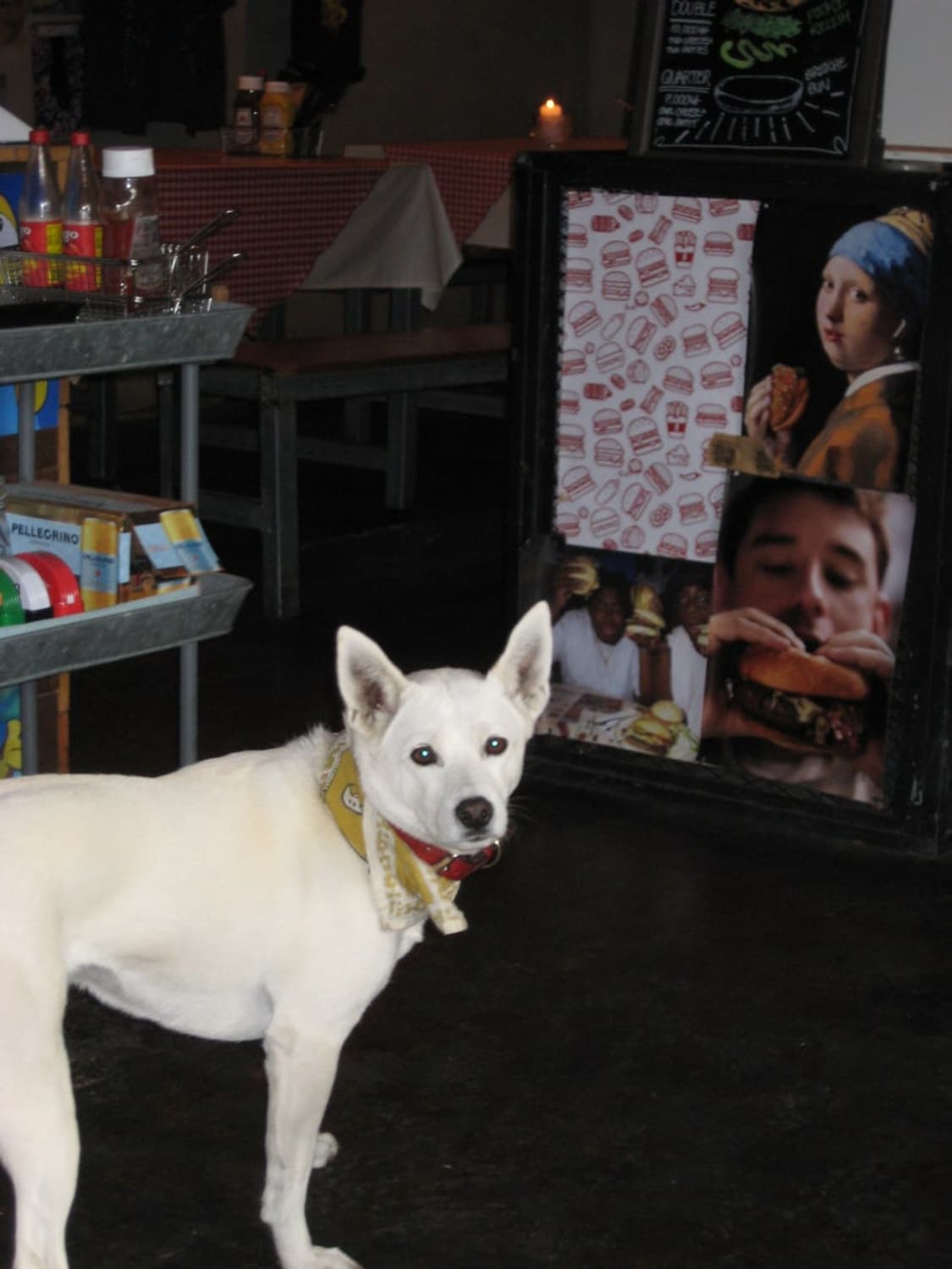 캐논 익서스 ixus 75 / ixy 90 / sd750 디카 카메라 상품이미지3