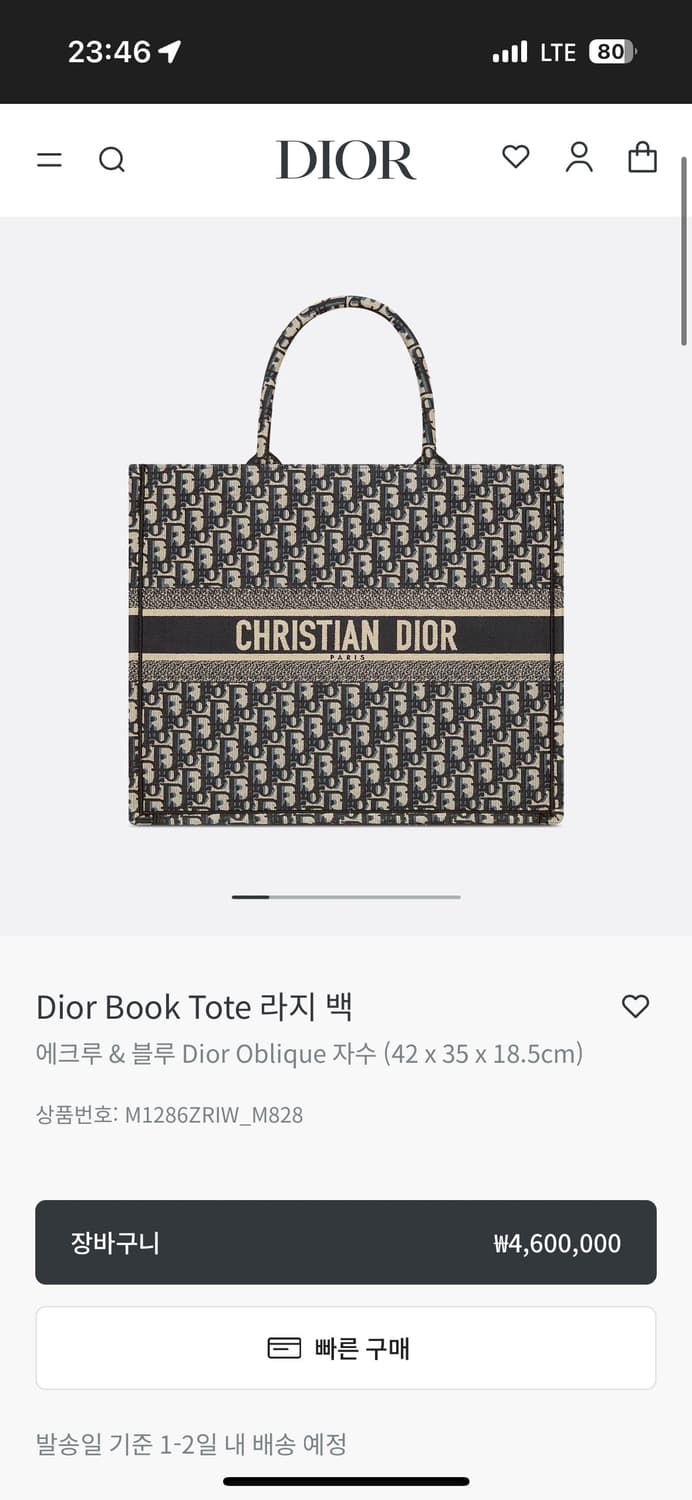 디올 오블리크 북토트백 라지 상품이미지1