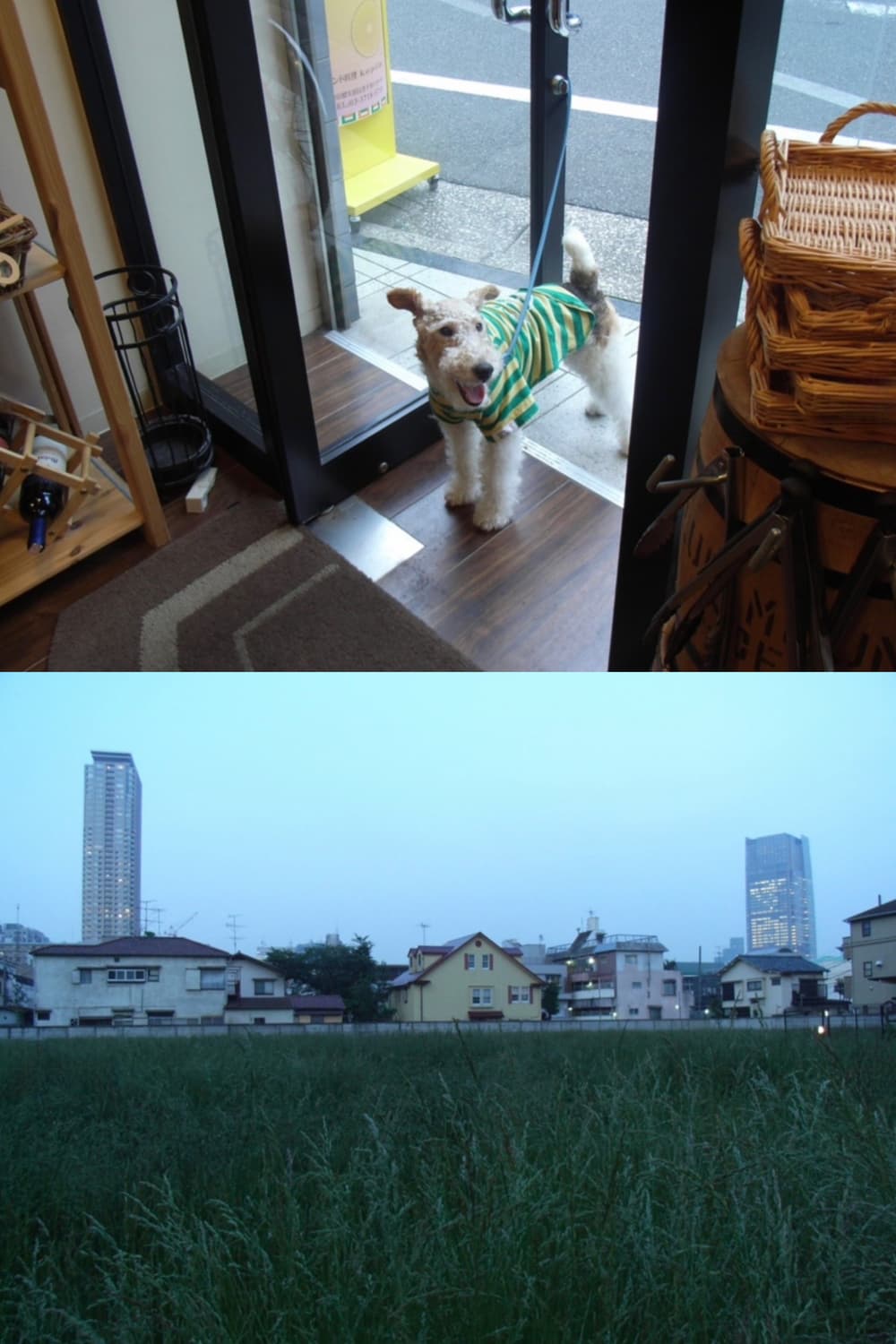 작례🫧 𖠳ᐝ리코 RICOH CAPLIO R5 상품이미지3