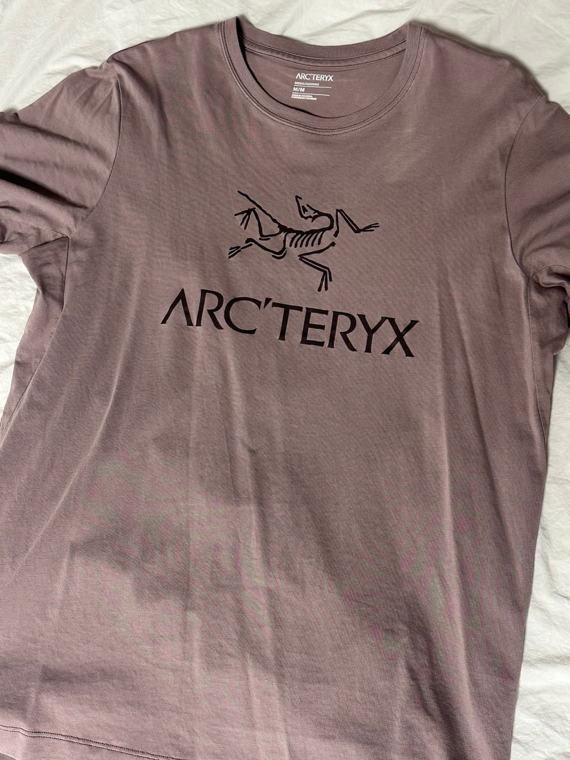 아크테릭스 아크워드 로고 SS 상품이미지2