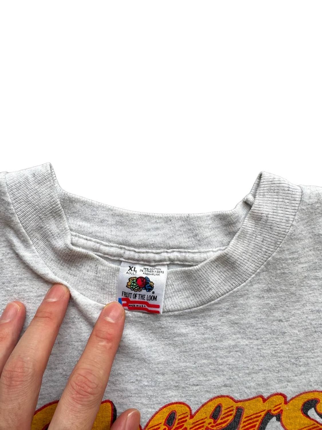 90s 프룻오브더룸 티셔츠 상품이미지4