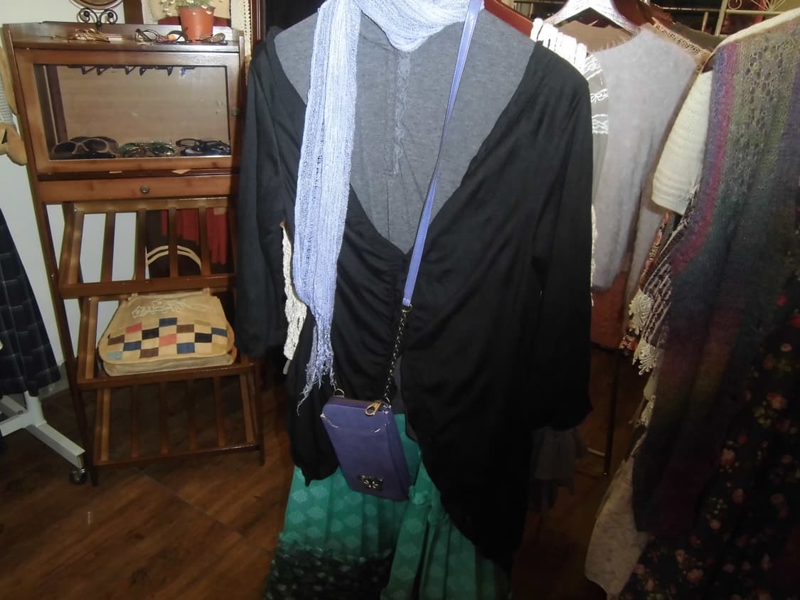 Anna Sui Butterfly Chain Wallet 🦋 상품이미지5