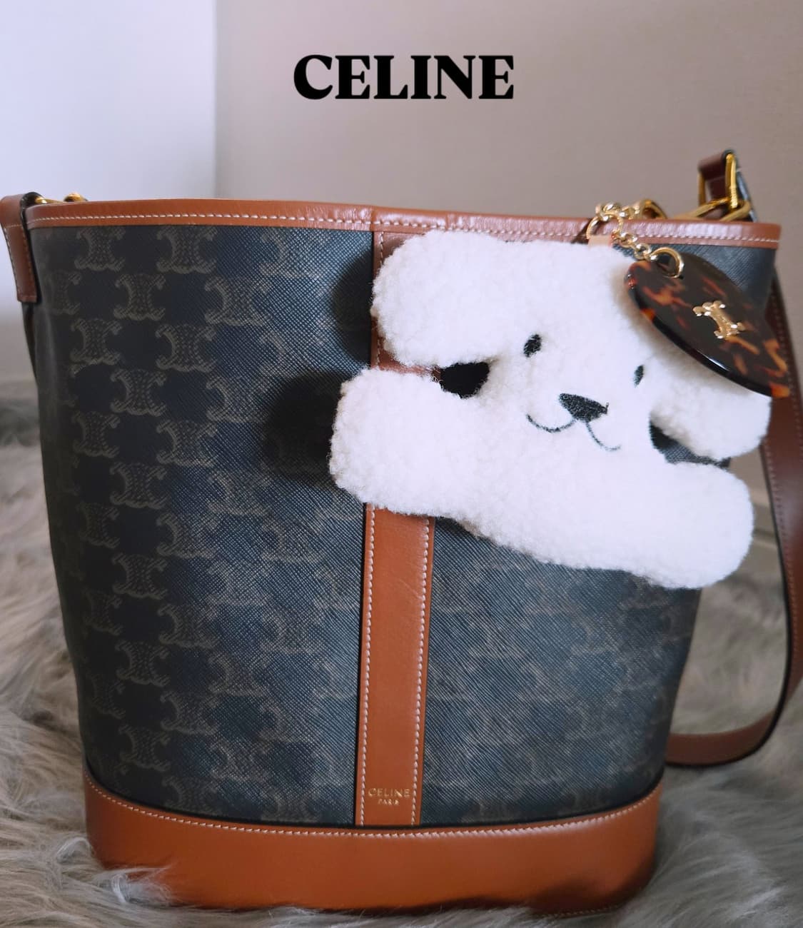 셀린느 트리옹프 버킷백 미디움 상품이미지8