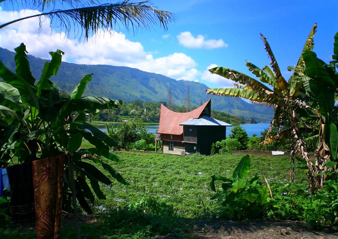 희귀템! 카시오 엑슬림 EXILIM EX-S20 귀여운 똑딱이 디카 상품이미지4