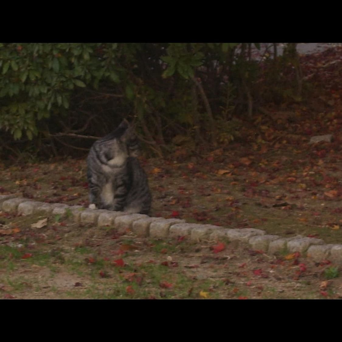 펜탁스 옵티오 E90  + 박스 메탈릭실버 💫 빈티지 디카 디지털카메라 상품이미지6