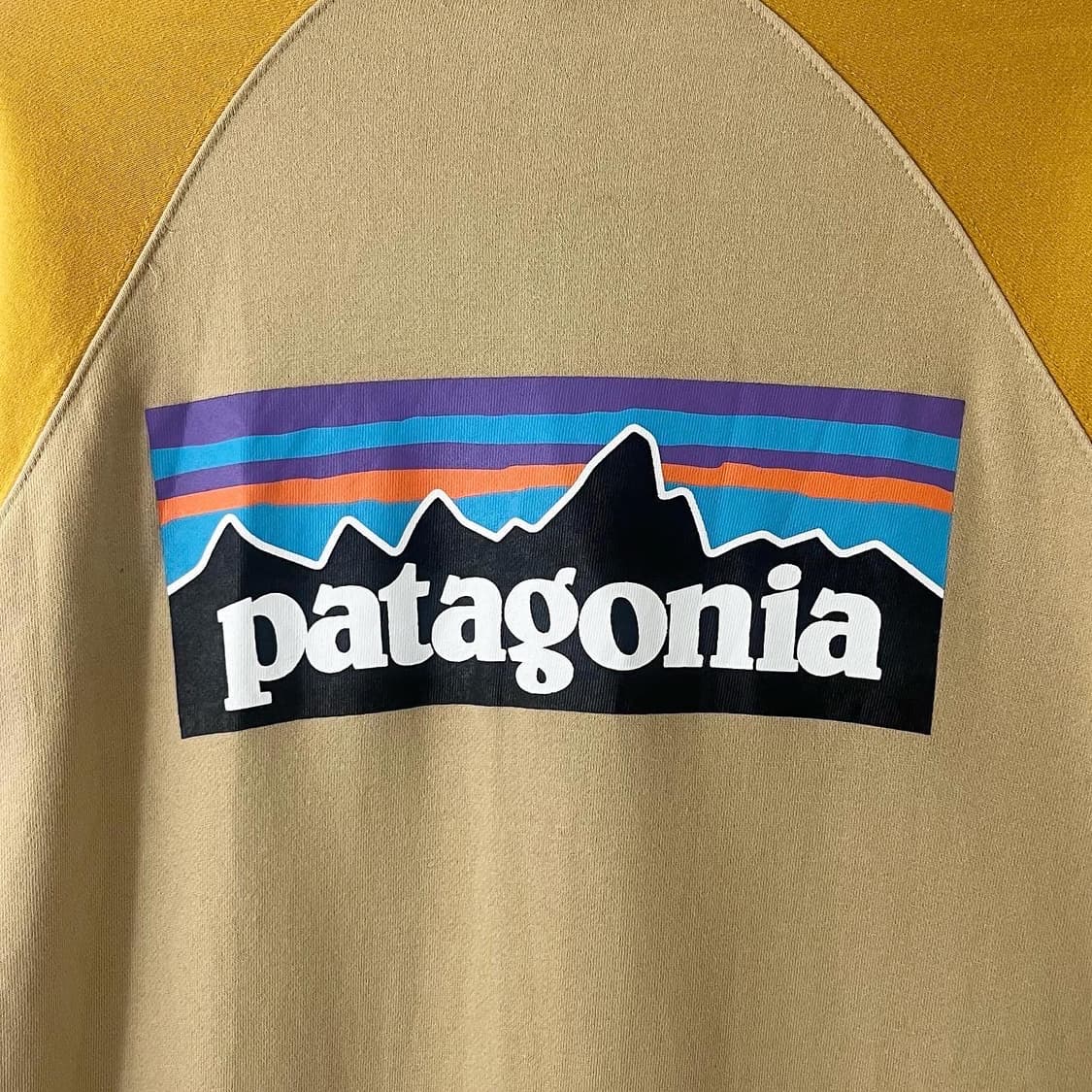 파타고니아 옐로우 백빅로고 라운드 맨투맨 상품이미지2
