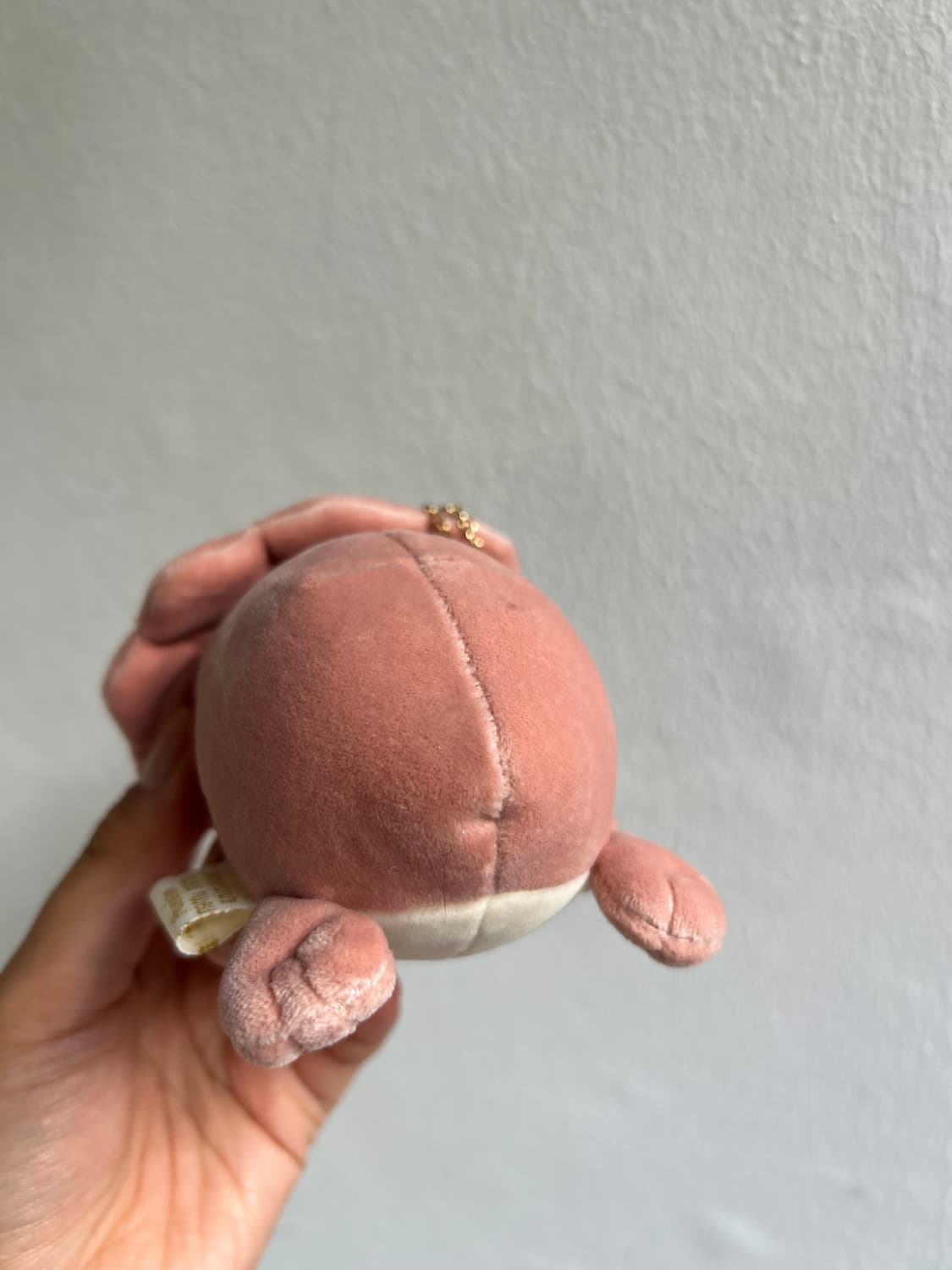 트리케라톱스 키링  상품이미지3