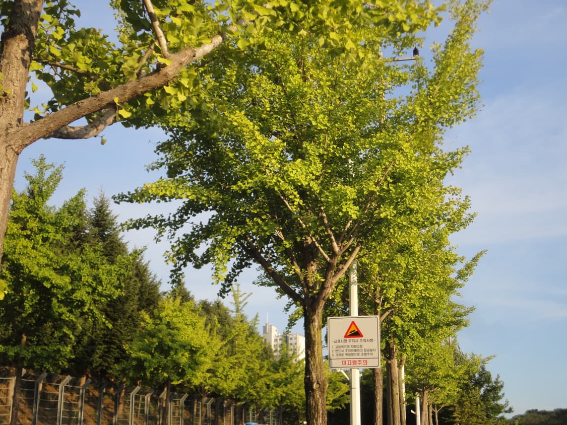 소니 사이버샷 똑딱이 카메라 실버 디카 cybershot dsc-wx5 상품이미지7