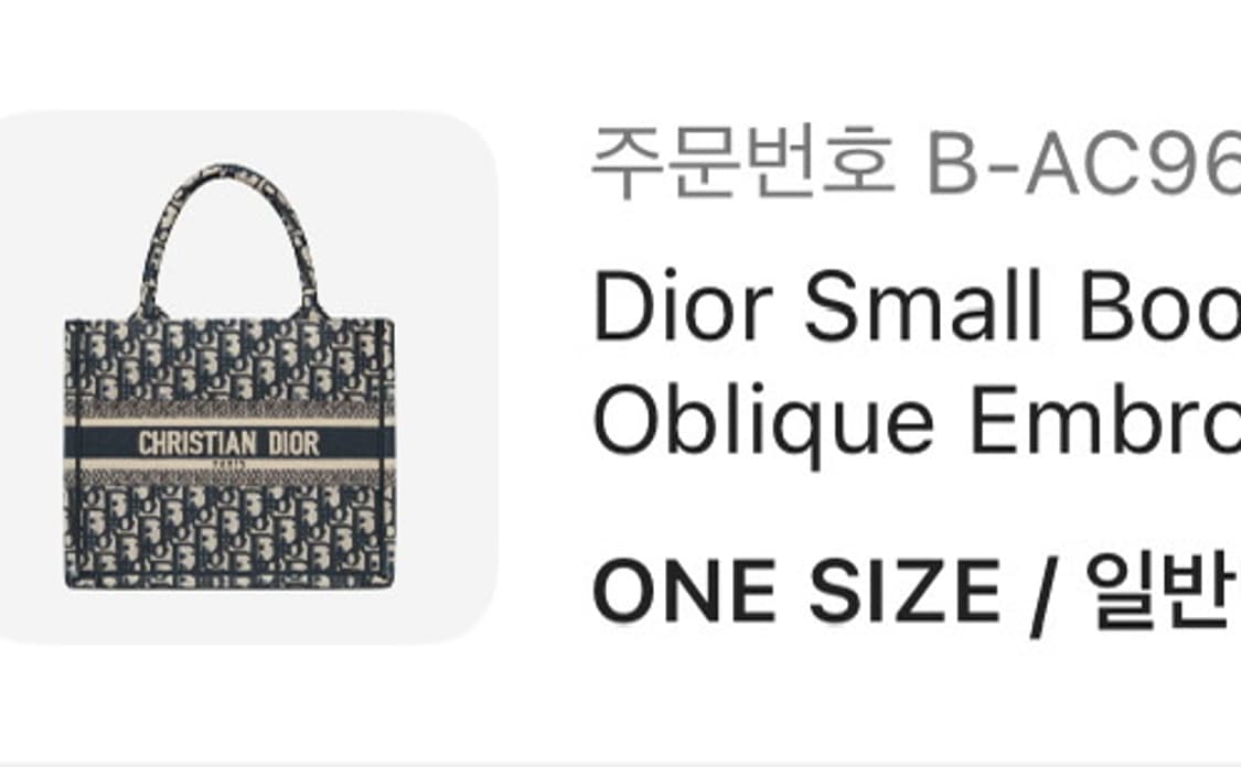 디올 북토트 백 스몰  상품이미지1