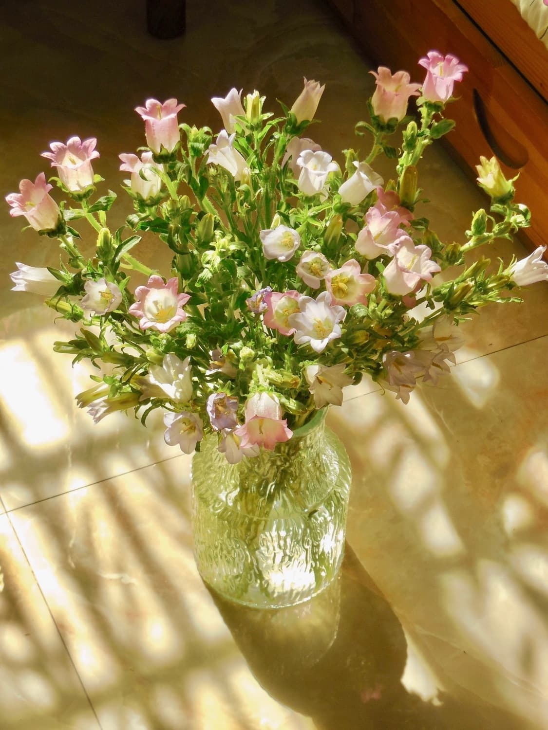 Nikon CoolPix S80 상품이미지5