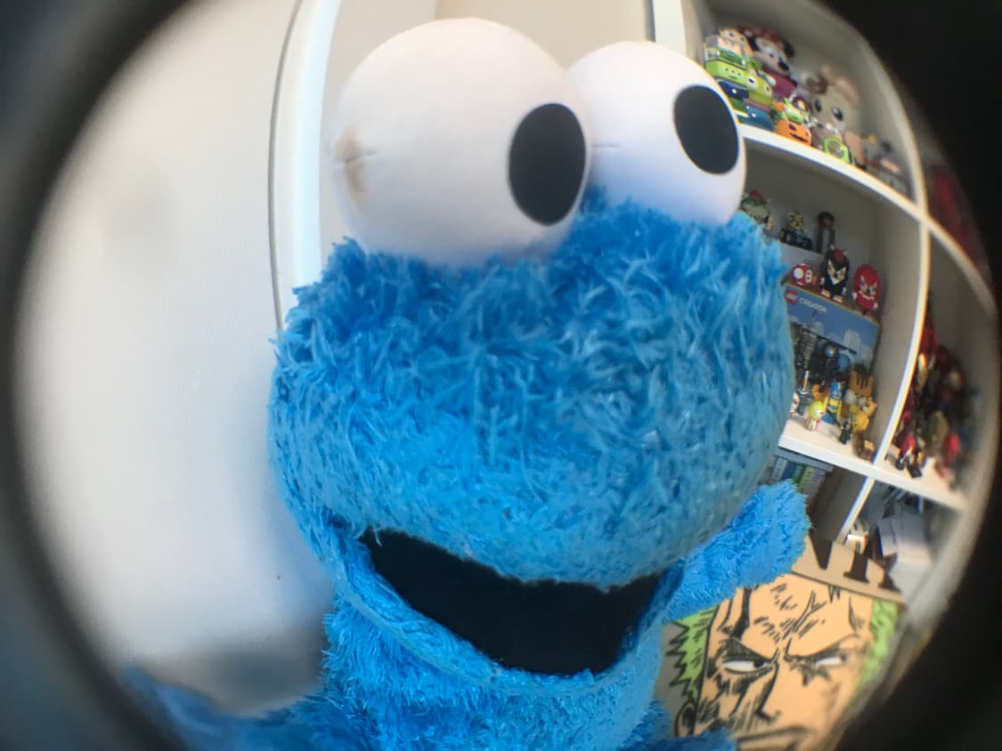 00s Sesame Street 인형 상품이미지2