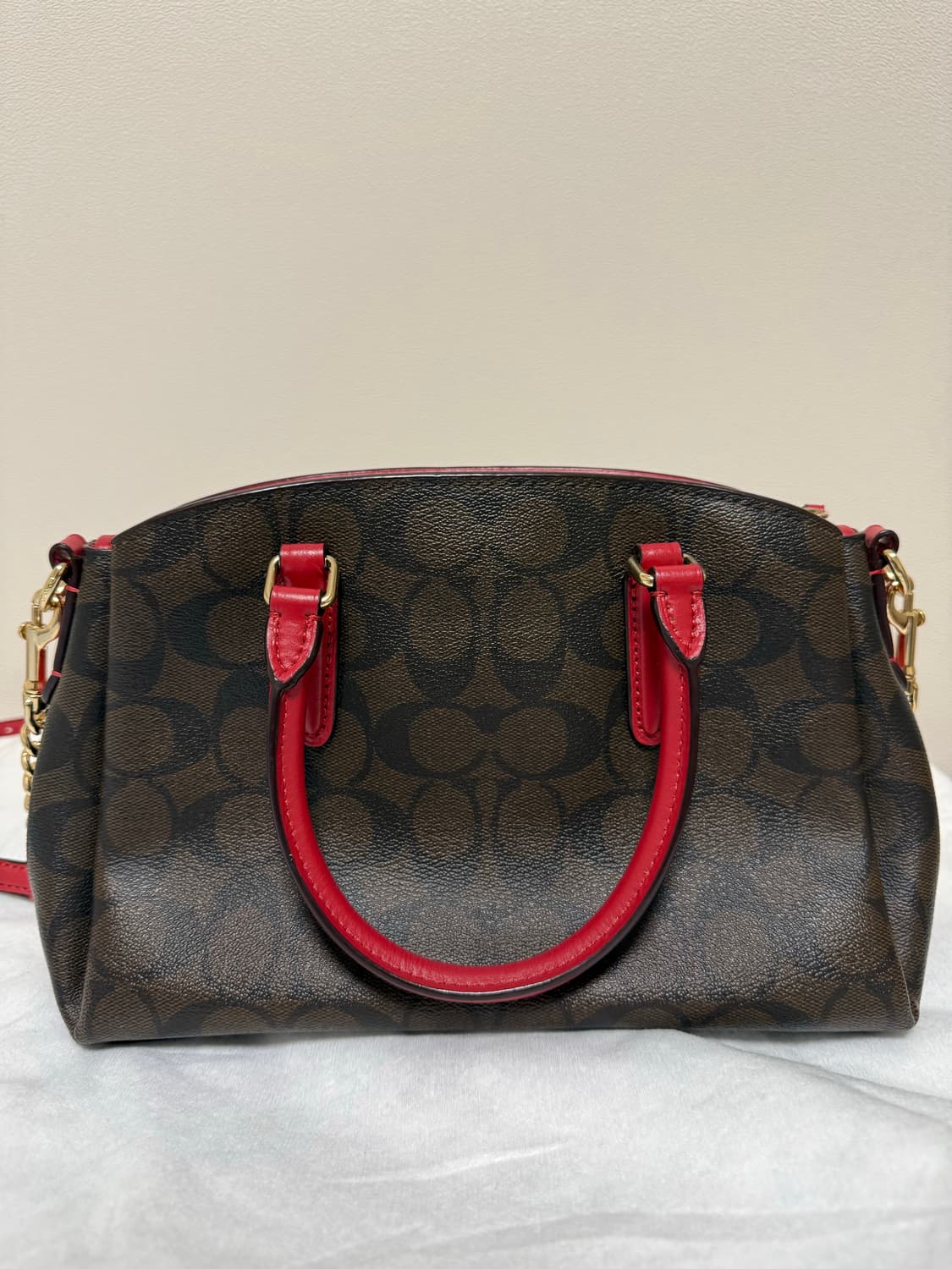 코치 미니 세이지 크로스백 상품이미지3