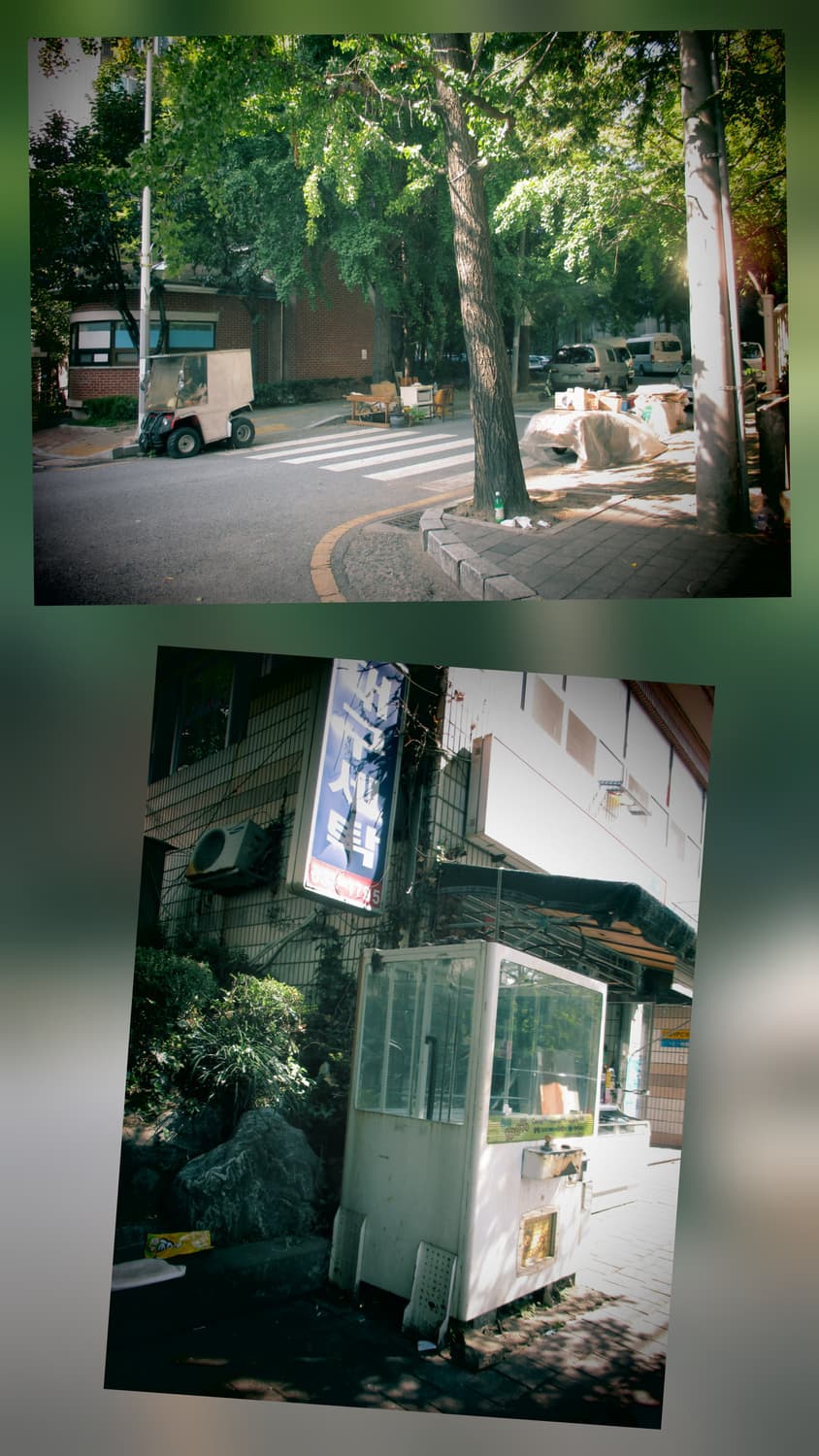 캐논 익서스 145 디지털카메라 상품이미지8