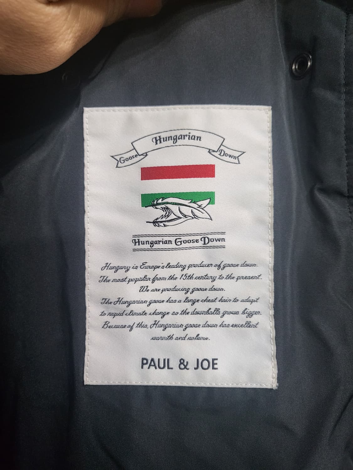 폴앤조 구스다운 벨트패딩 상품이미지9