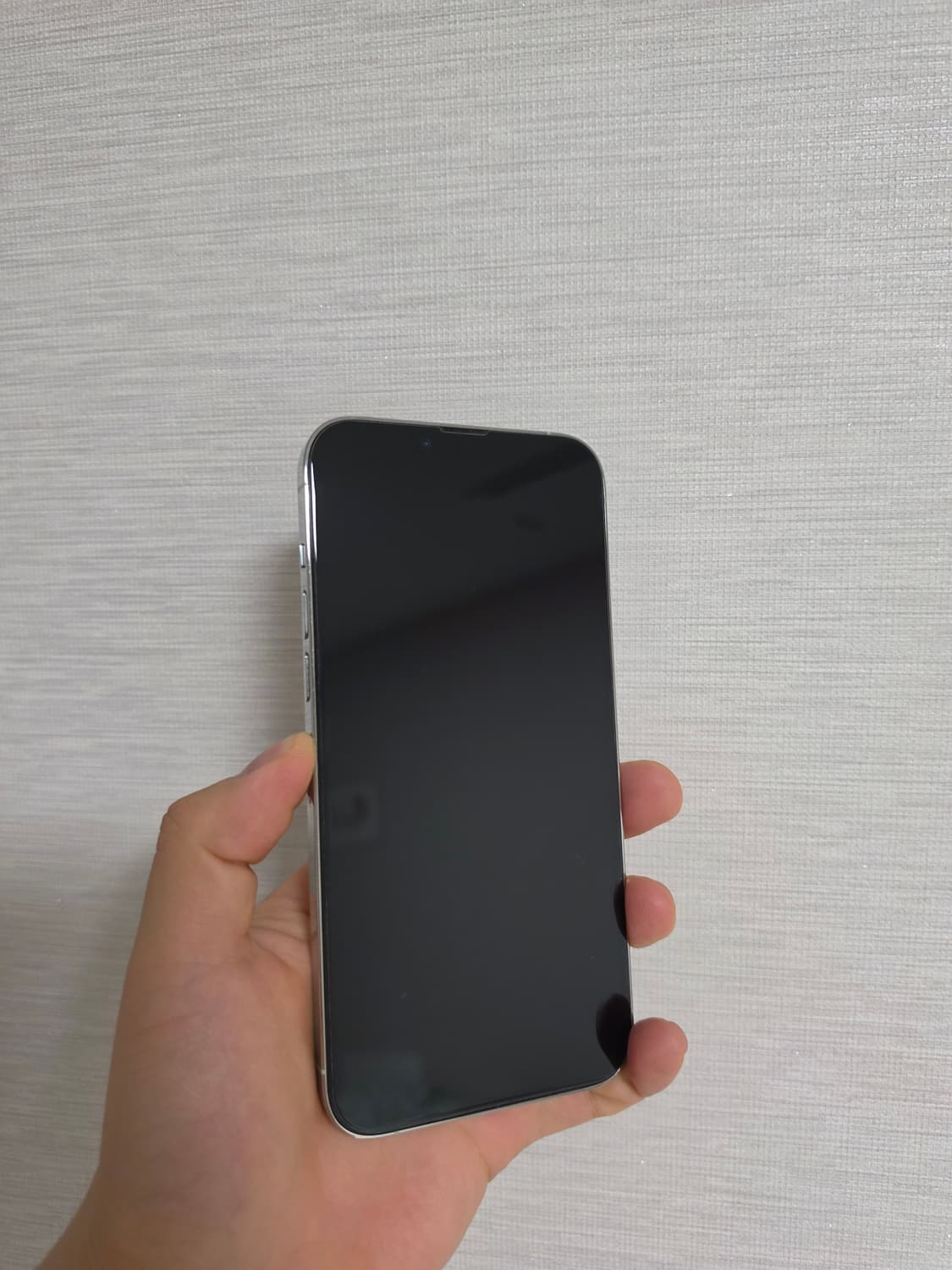 판매)아이폰 13프로맥스 256기가 실버 자급제 상품이미지2