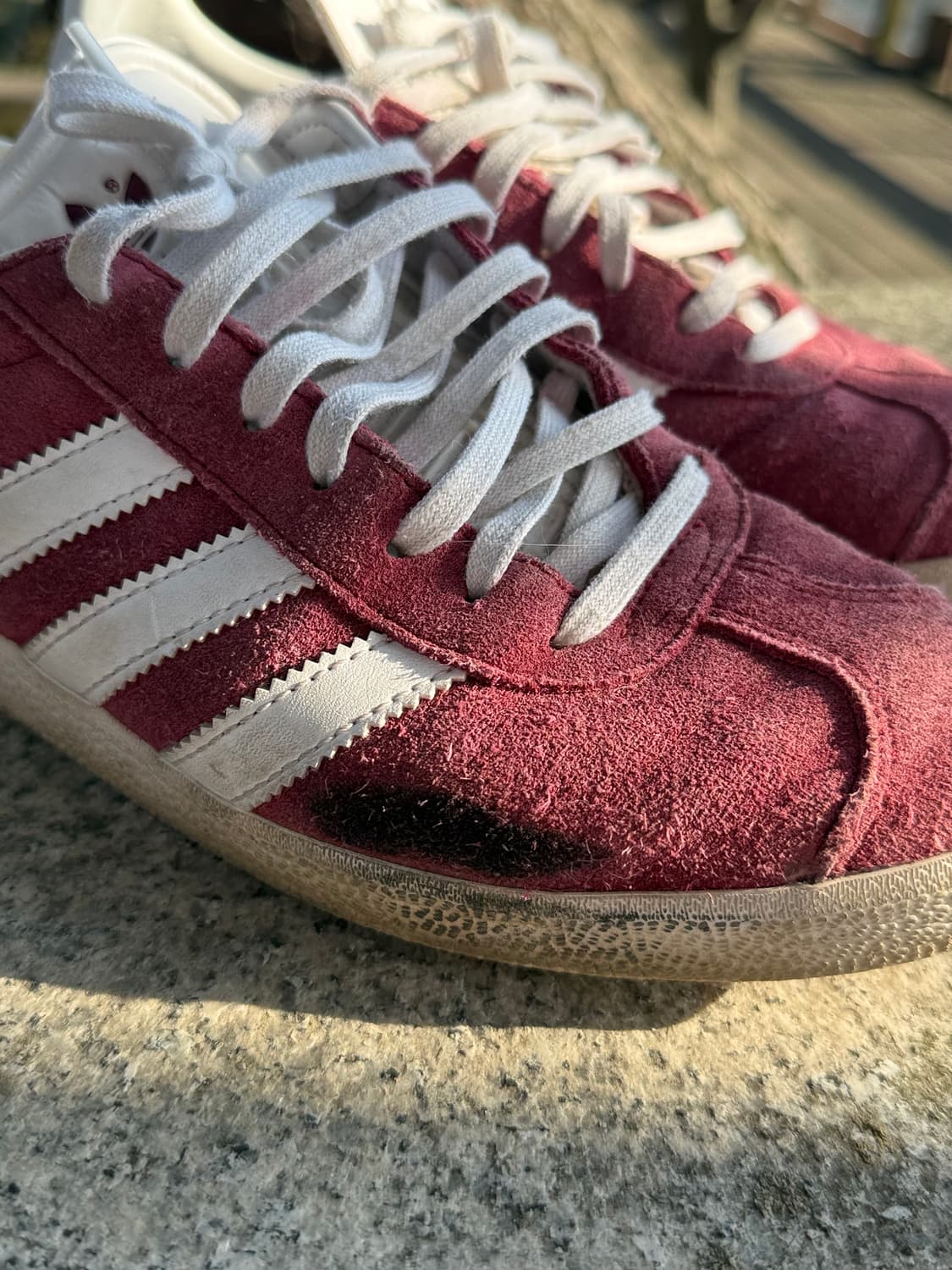 아디다스 가젤 버건디 255 상품이미지2