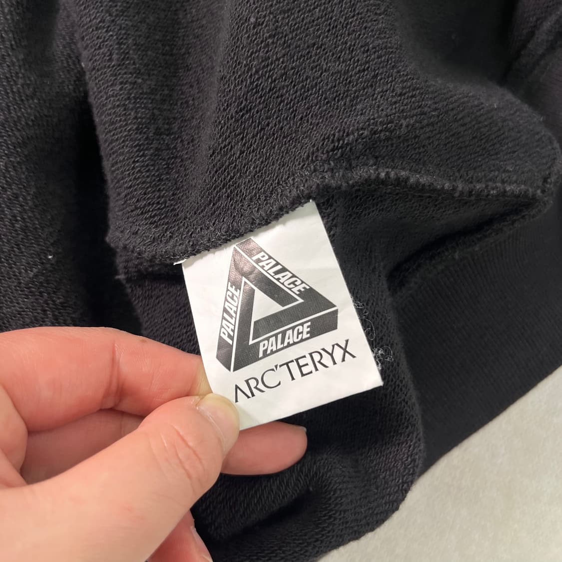 105 아크테릭스 x 팔라스 후드티 상품이미지7