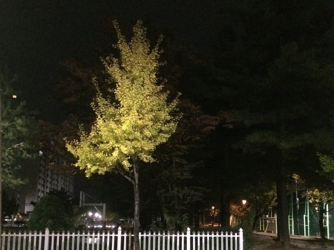 사진용 공기계 아이폰 5s 스페이스 그레이 상품이미지8