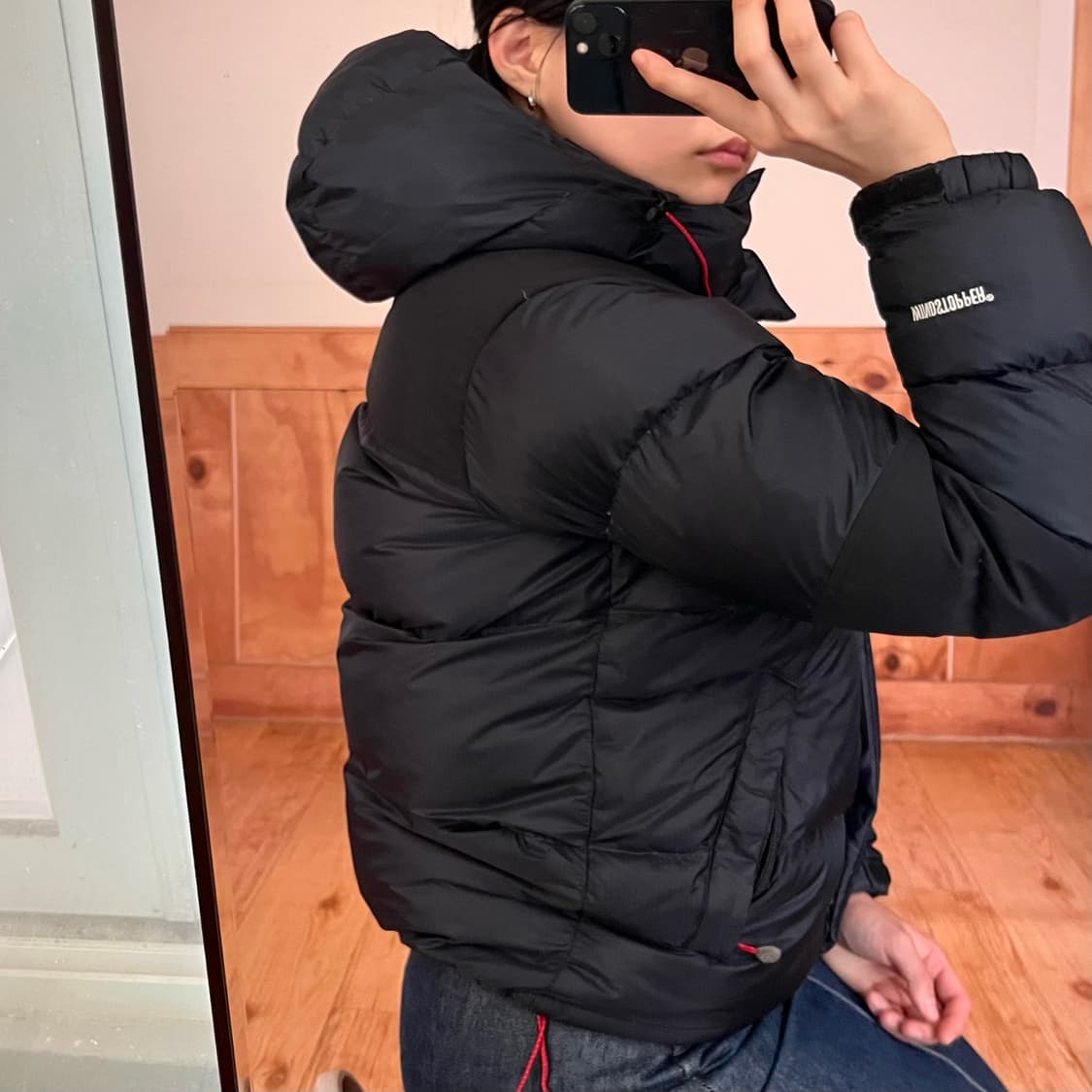 노스페이스 700 윈드스토퍼 구스다운 상품이미지3