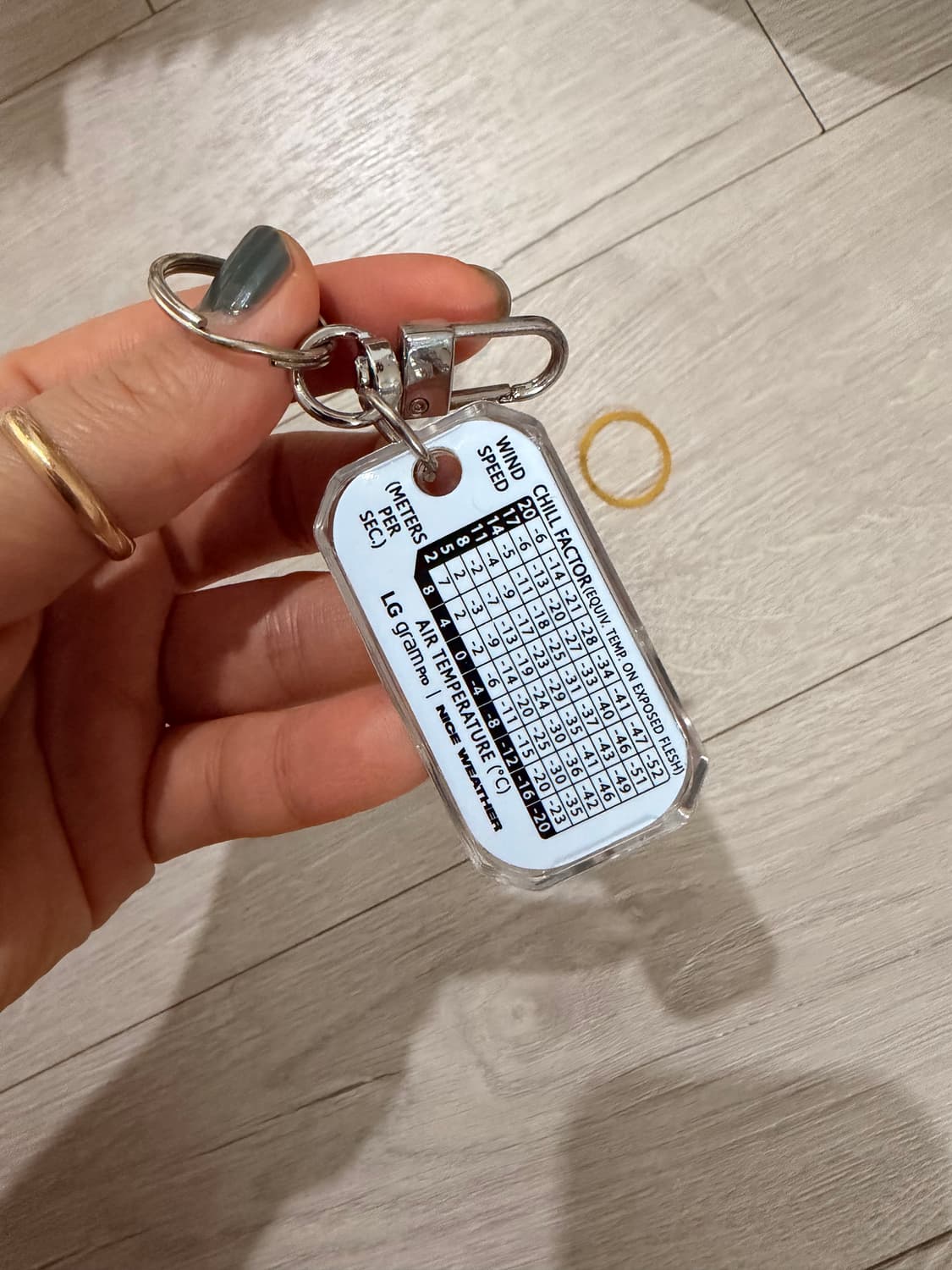 나이스웨더 NICE WEATHER 온도계/나침반 키링 상품이미지2