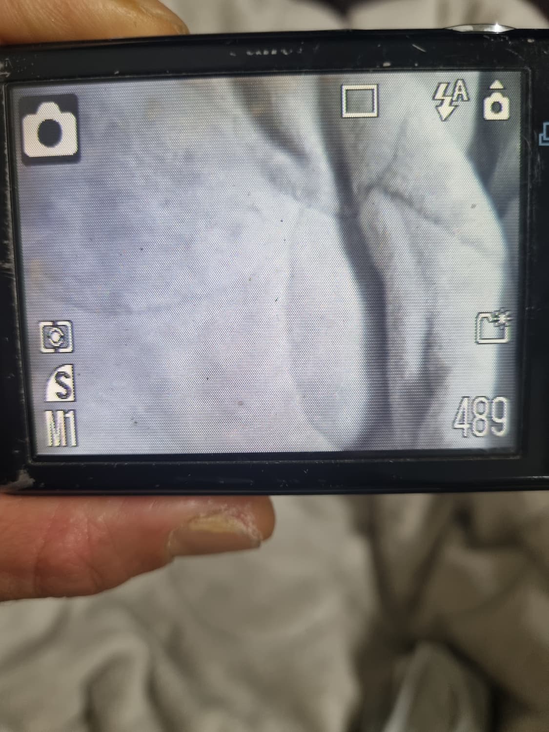 캐논 익서스 65 디지털 카메라 레트로 디카 상품이미지6