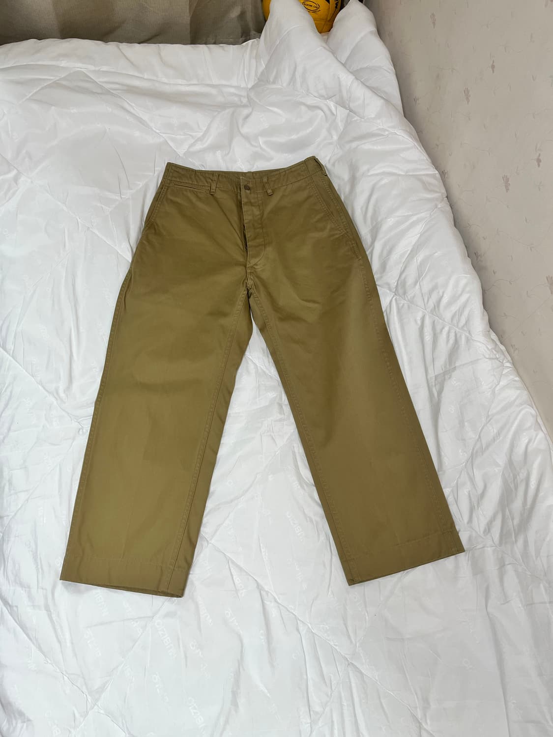 아나토미카 치노2 상품이미지1