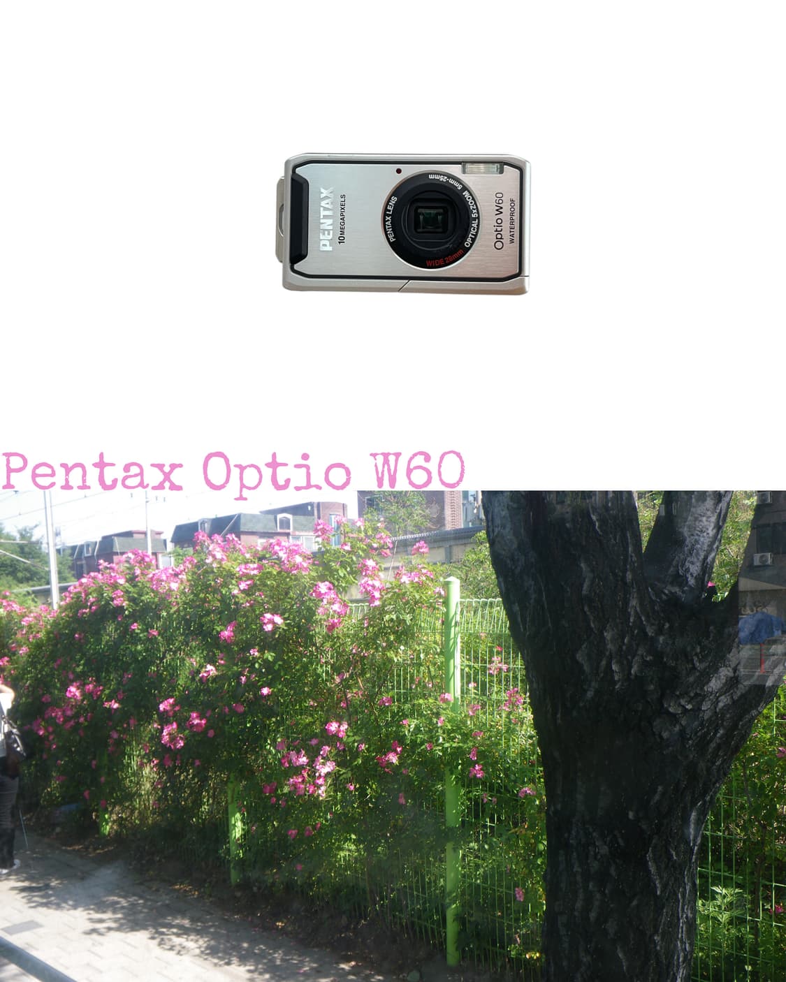 Pentax Optio W60 상품이미지1