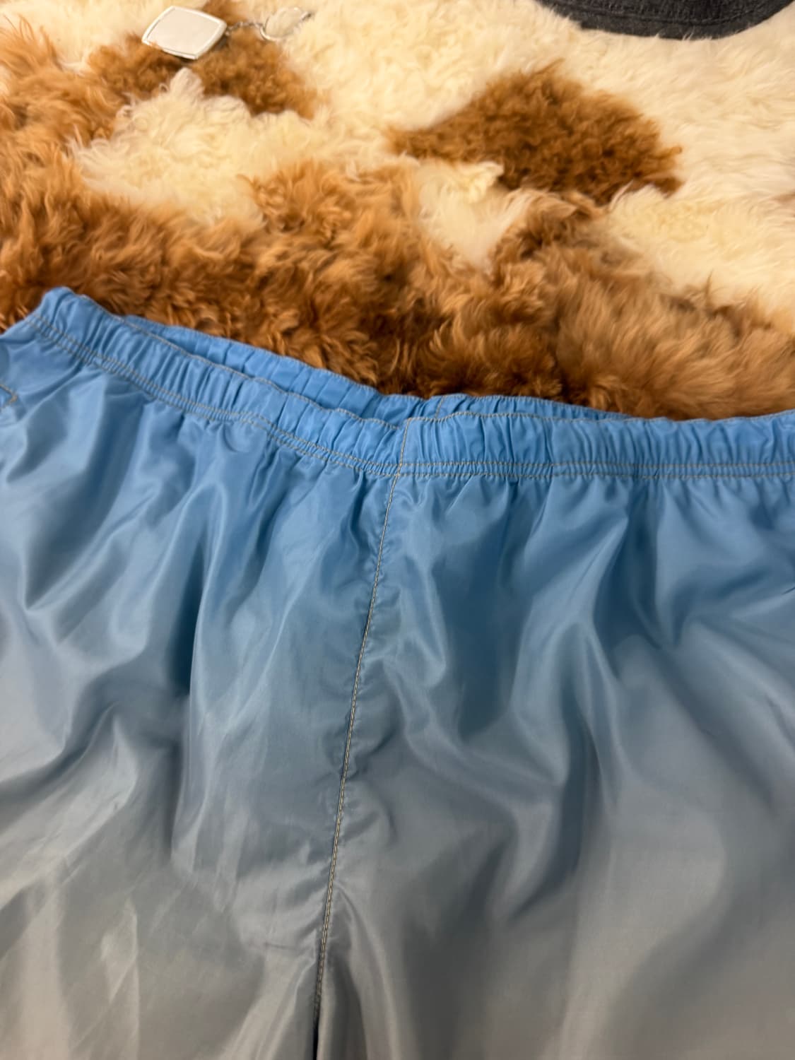 00s gradation swim pants  상품이미지2