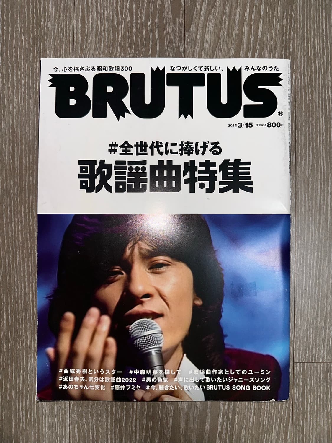 BRUTUS Song book Issue (2022.03.15) 상품이미지1