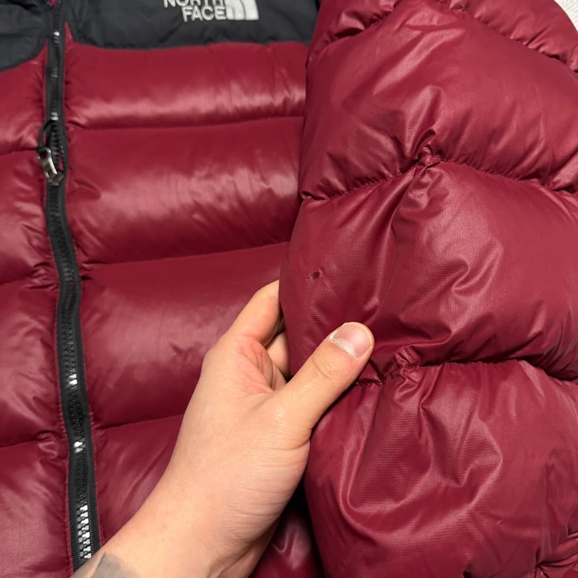노스페이스 써밋시리즈 900 눕시 패딩 자켓 상품이미지3