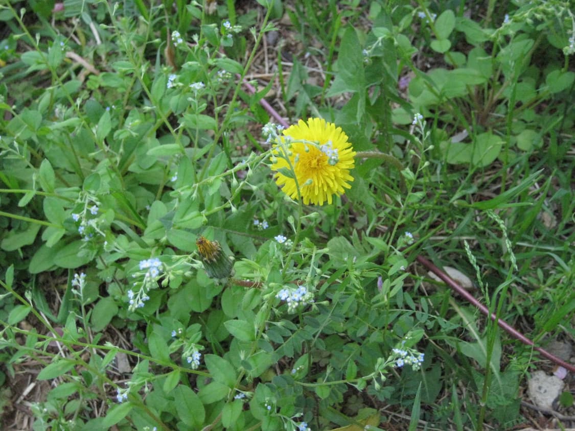 캐논 익서스70(canon ixus70, ixy10) 디카 상품이미지10