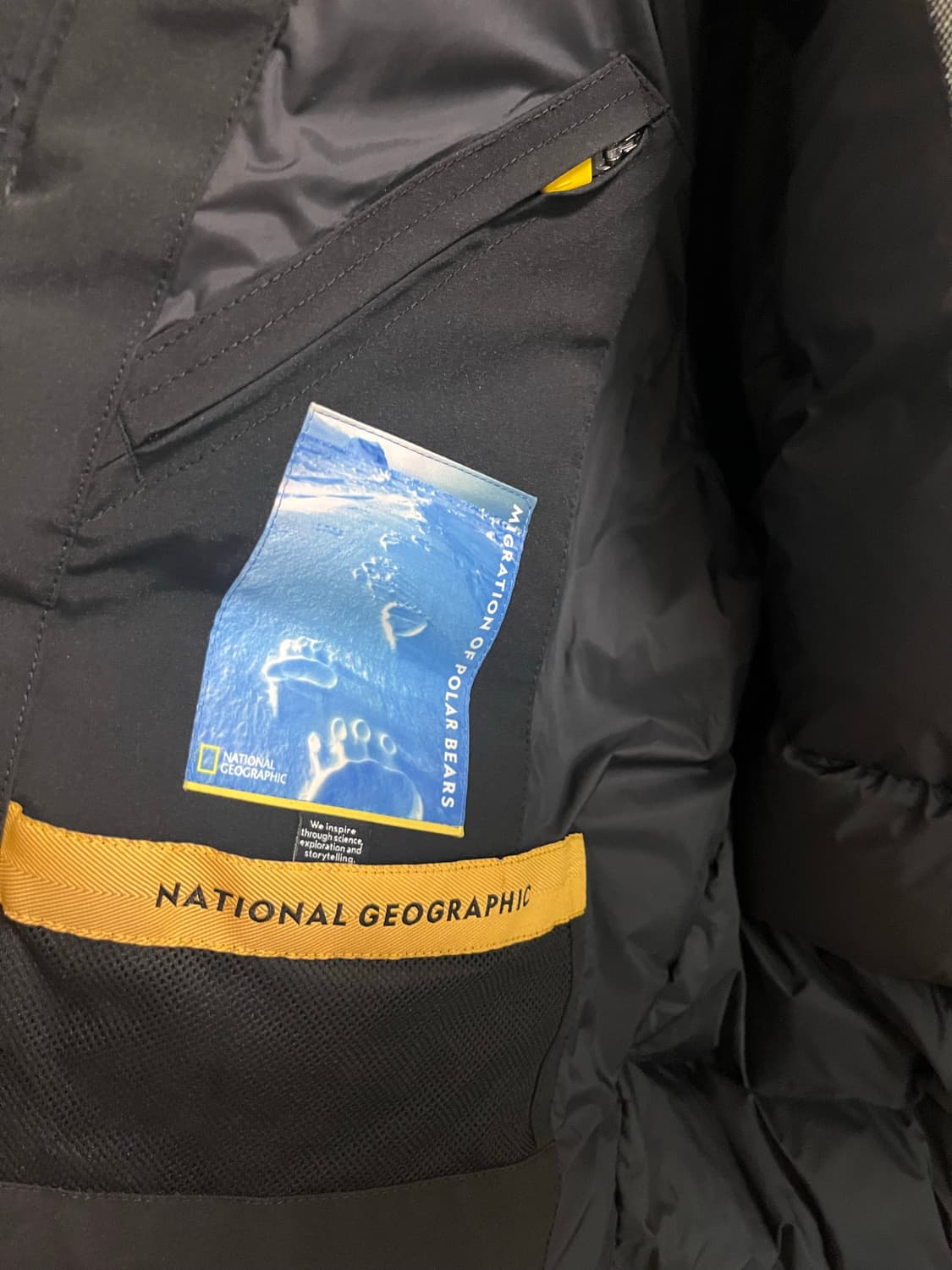 네셔널 지오그래픽 패딩 M 상품이미지5