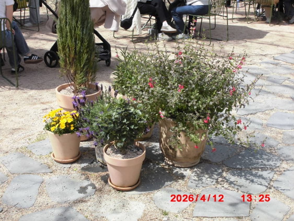 박스 구성/ 작례0/ Casio Exlim ex z31 디카 상품이미지8