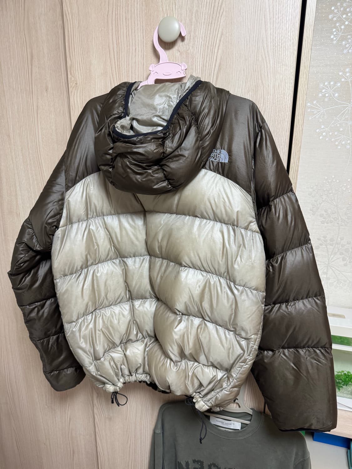 North face 노스페이스 아콘카구아Xl 상품이미지2