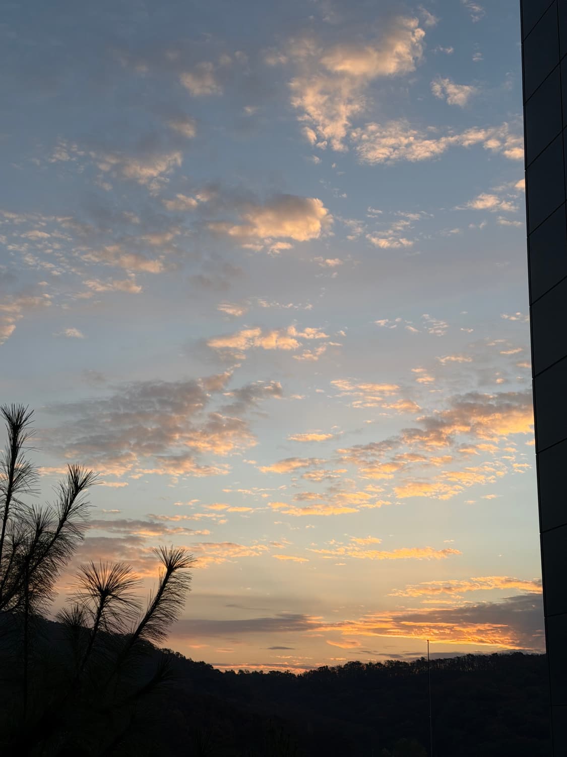 결제창입니다 상품이미지1