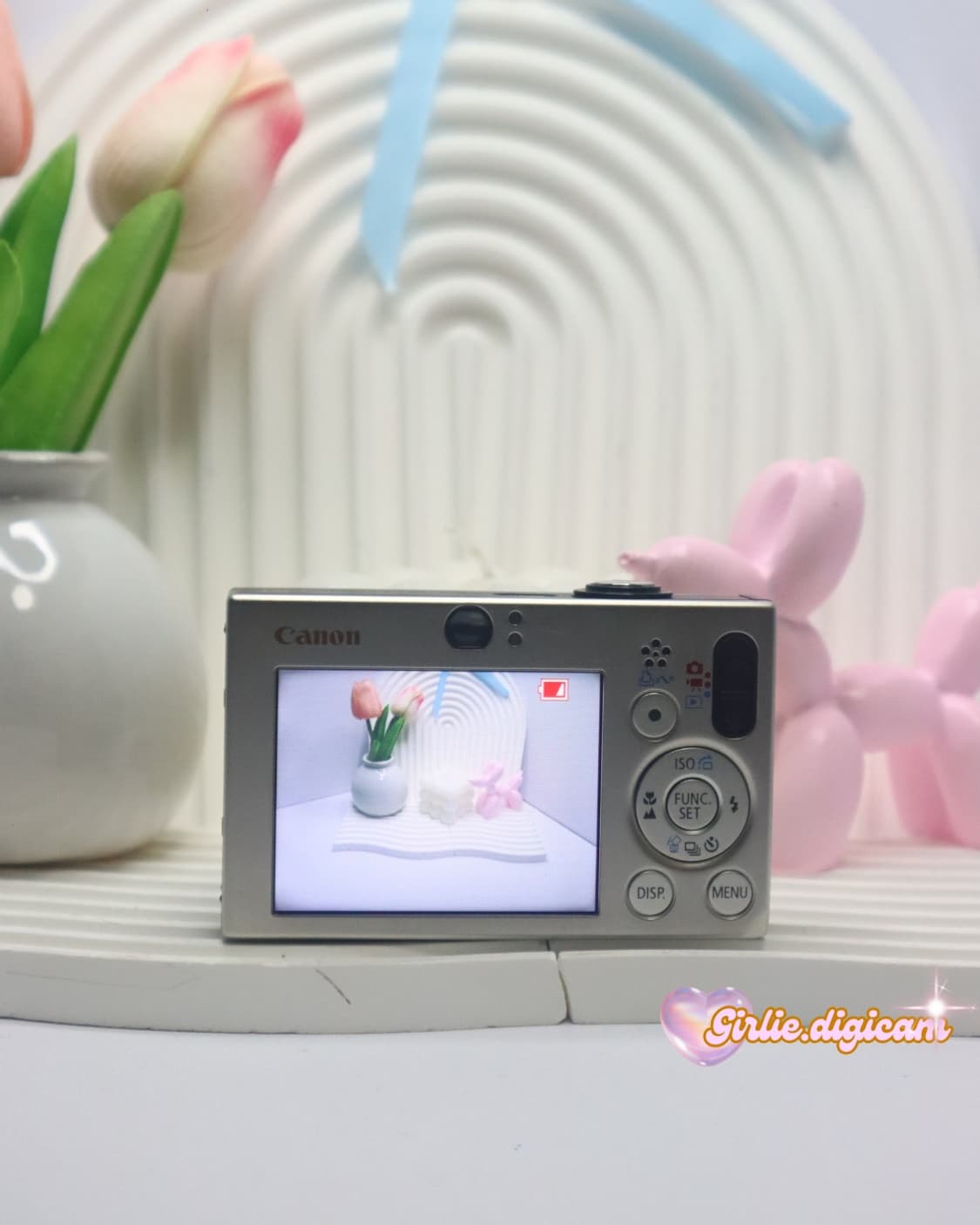 *인프루언서디카*캐논 익서스 70/ 익시 10 필름색감 끝판왕(직접체험) 상품이미지5