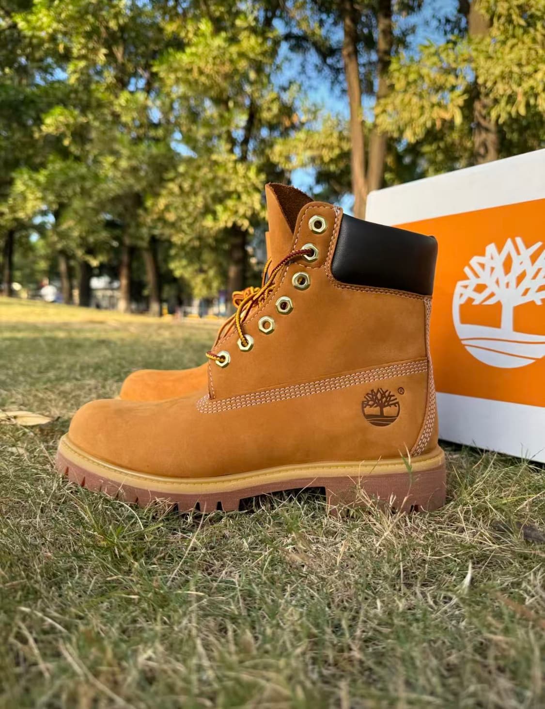 팀버랜드 프리미엄 6인치 워터프루프 부츠 위트 누벅 상품이미지2