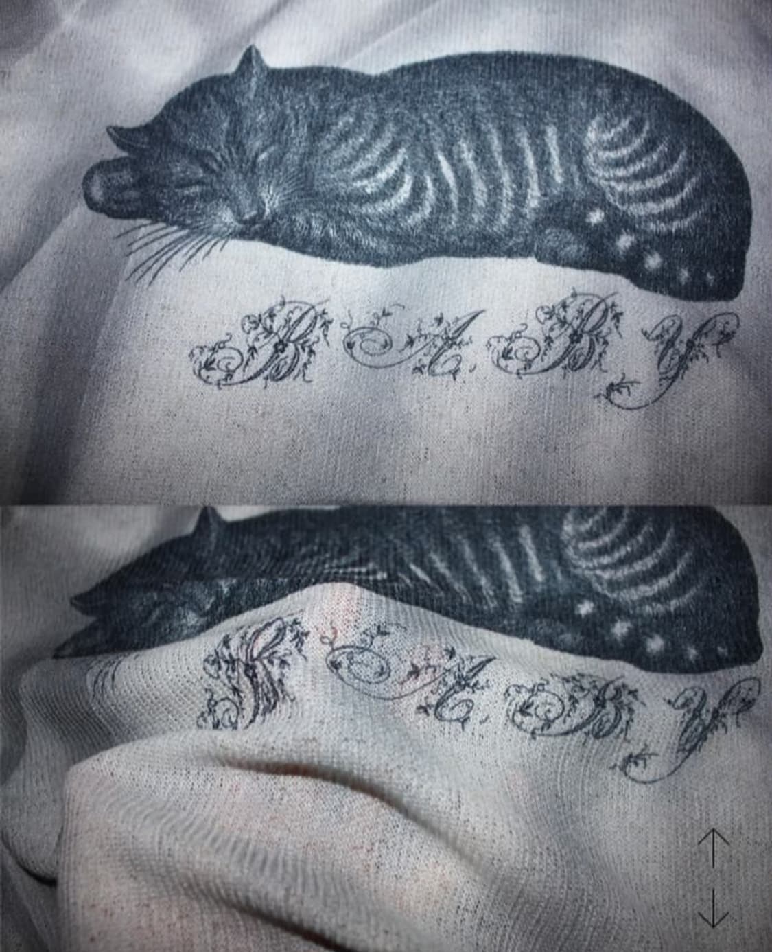 eessay nap cat summer knit 고양이 니트 반팔 상품이미지2