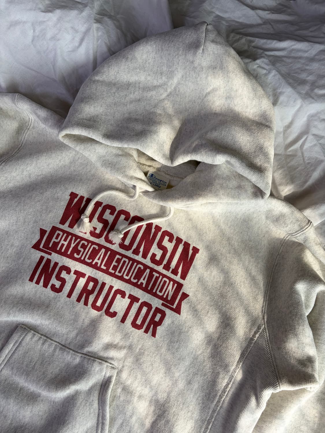 챔피온 재팬 리버스위브 블루택 스웻 후드 / XL 상품이미지1